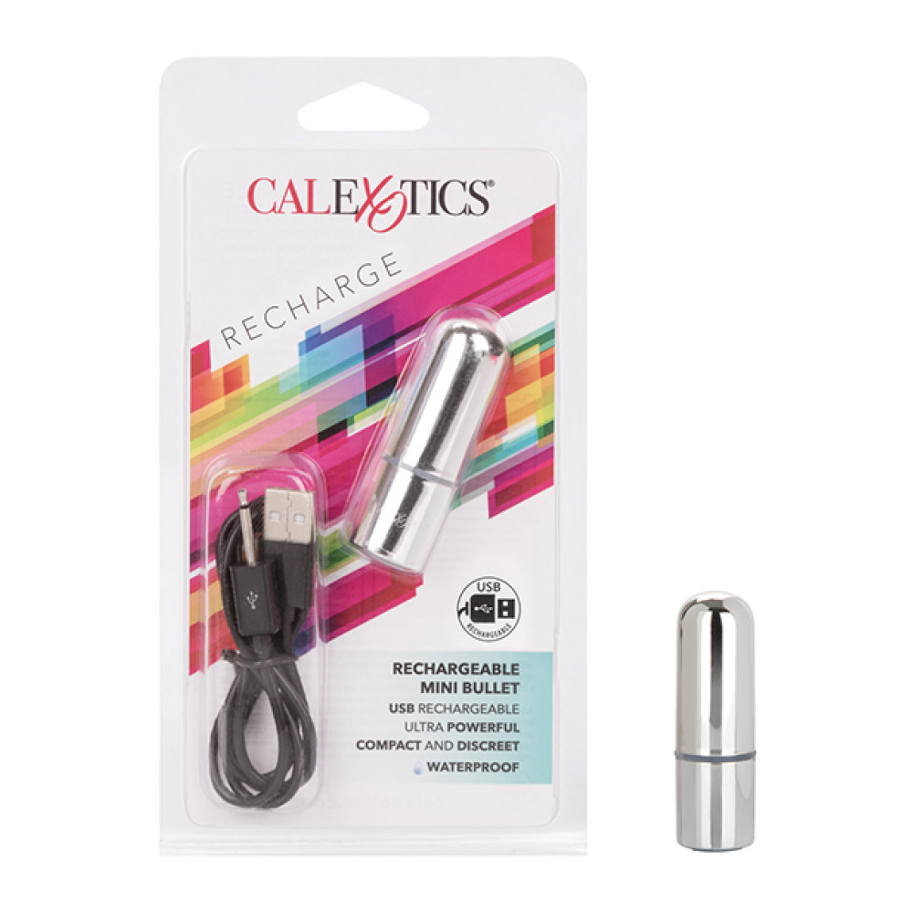 Rechargeable Mini Bullet - Silver