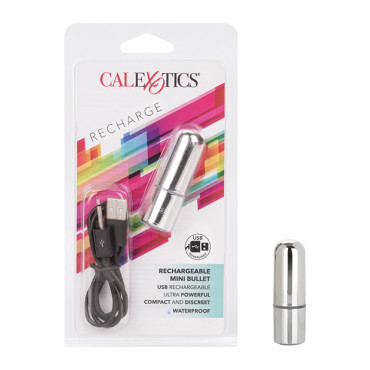 Rechargeable Mini Bullet - Silver