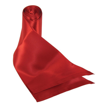 Sex & Mischief Silky Sash Restraints - Red